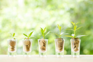 SGP Credit - Personal Loan With Low Interest Rate | Coin on wooden table in front of green bokeh background.