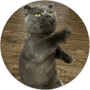 sixofhearts profile picture