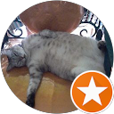 Lady Honey profile picture